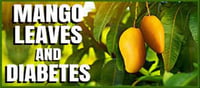 Mango leaves can be your answer to cure diabetes!!!